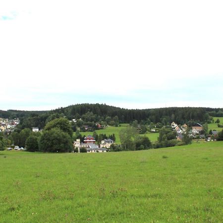 Ferienwohnung Greifenbach, Gartennutzung, Haustiere Willkommen Geyer Екстериор снимка
