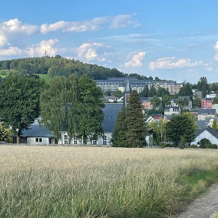 Ferienwohnung Greifenbach, Gartennutzung, Haustiere Willkommen Geyer Екстериор снимка