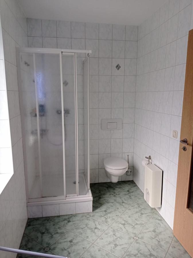 Ferienwohnung Greifenbach, Gartennutzung, Haustiere Willkommen Geyer Екстериор снимка