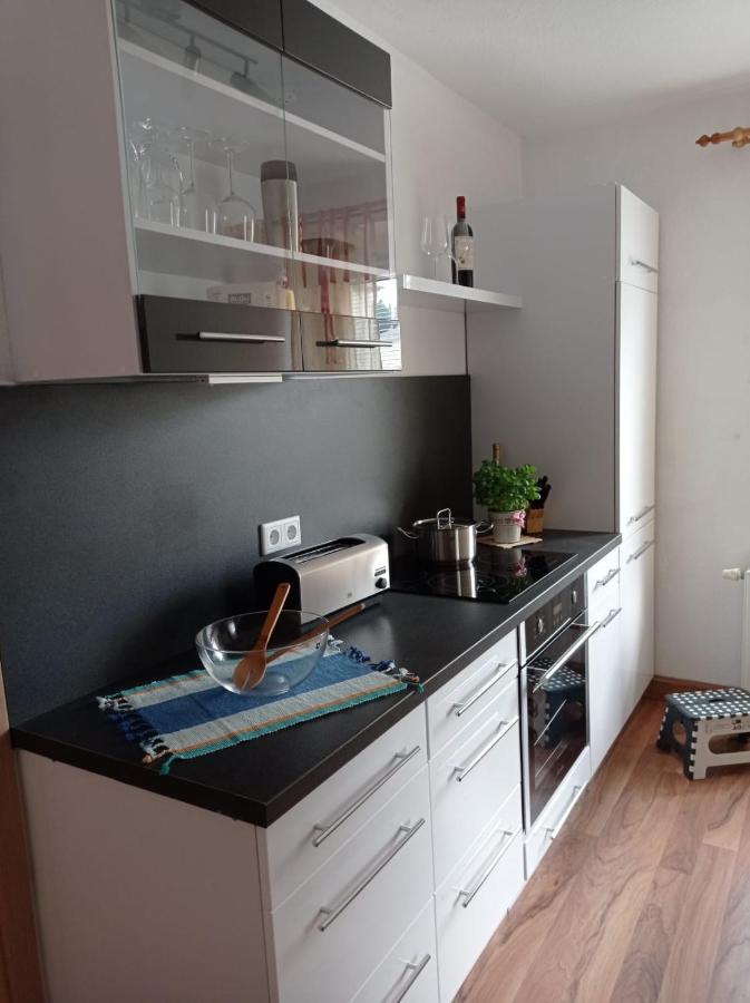 Ferienwohnung Greifenbach, Gartennutzung, Haustiere Willkommen Geyer Екстериор снимка