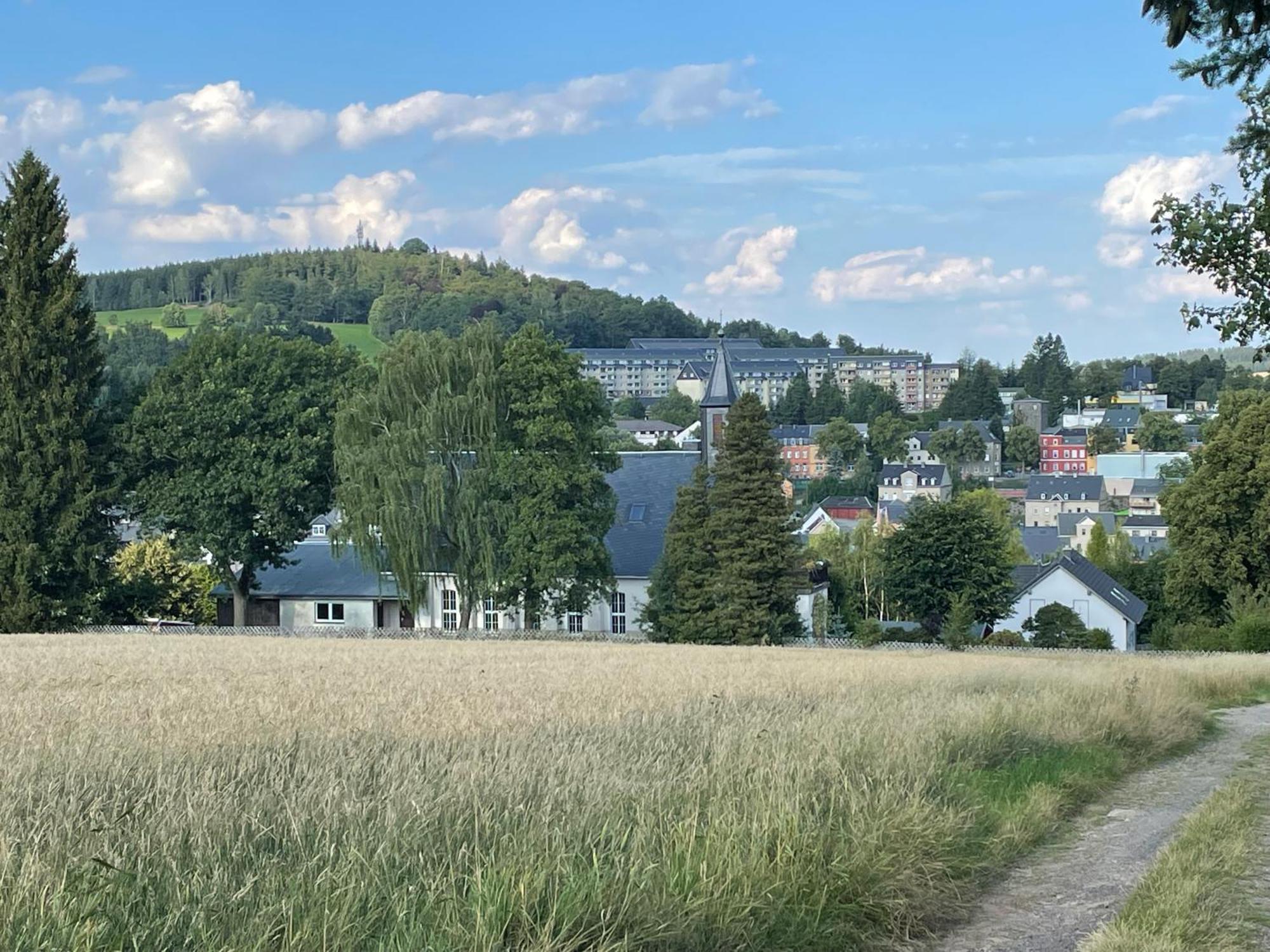 Ferienwohnung Greifenbach, Gartennutzung, Haustiere Willkommen Geyer Екстериор снимка