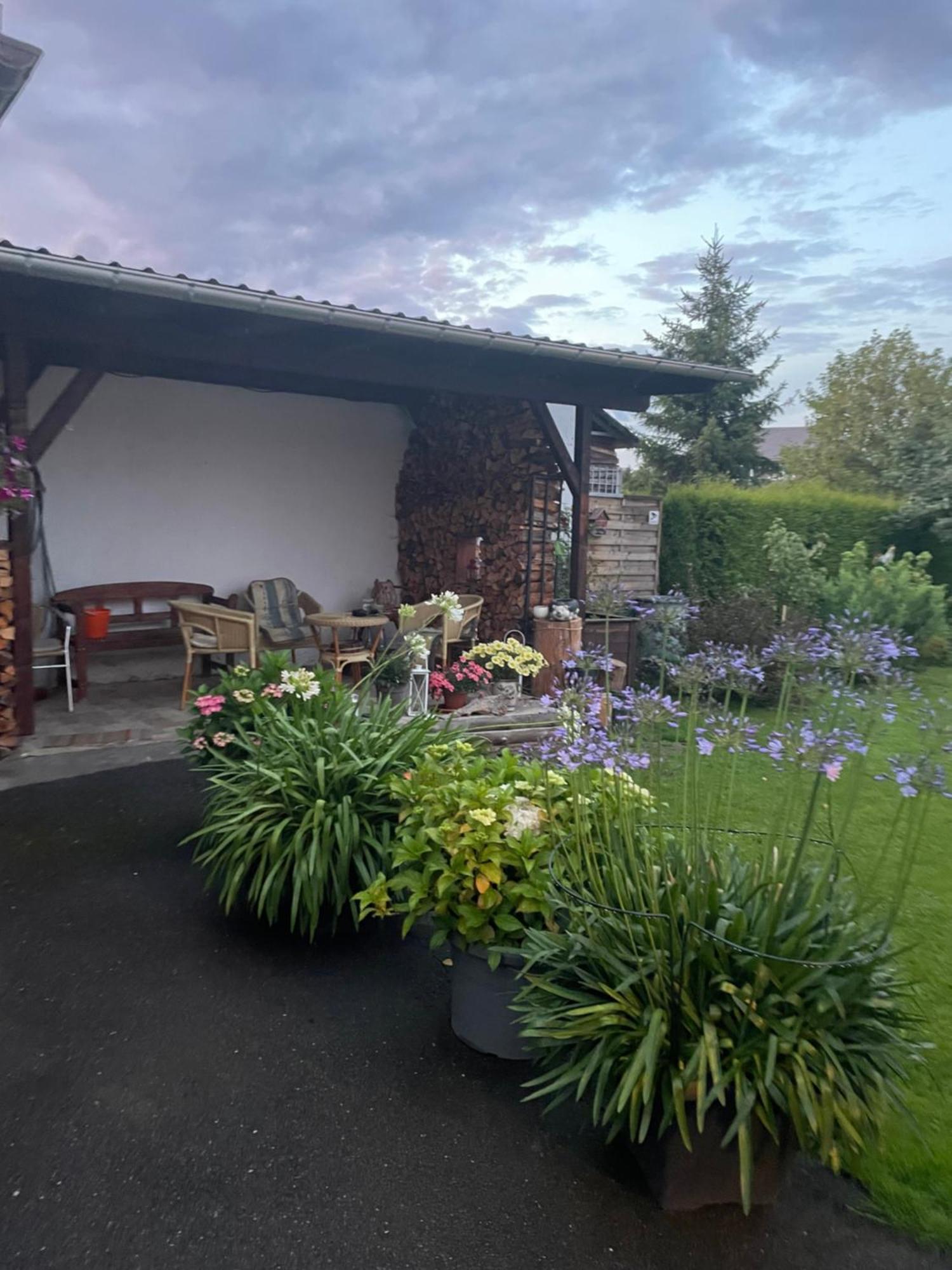 Ferienwohnung Greifenbach, Gartennutzung, Haustiere Willkommen Geyer Екстериор снимка